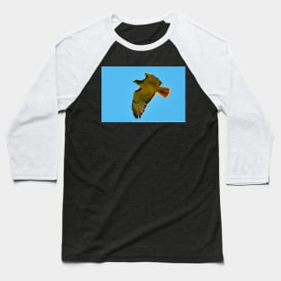 Flying High - Red Tail Hawk Baseball T-Shirt